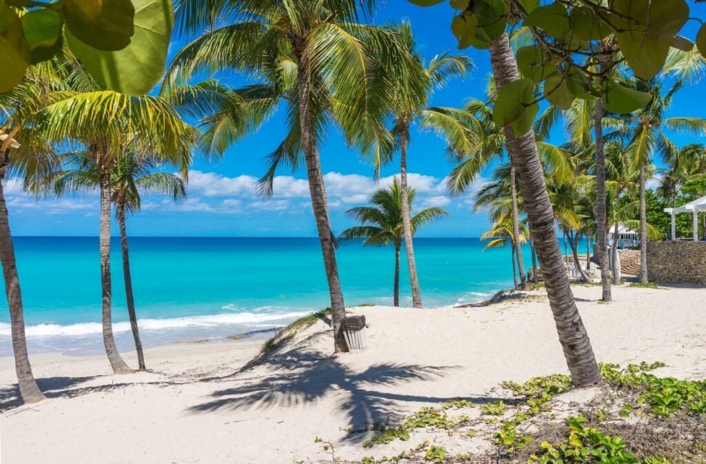 Slunečná tropická mořská pláž s palmami, Varadero, Kuba