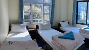 Room at Royal Himalaya Hotel & Lodge, Syabru Bensi, Nepal