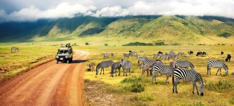 Tanzanie a safari - kompletní průvodce