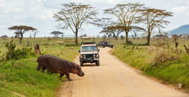 Zanzibar a safari v Tanzanii