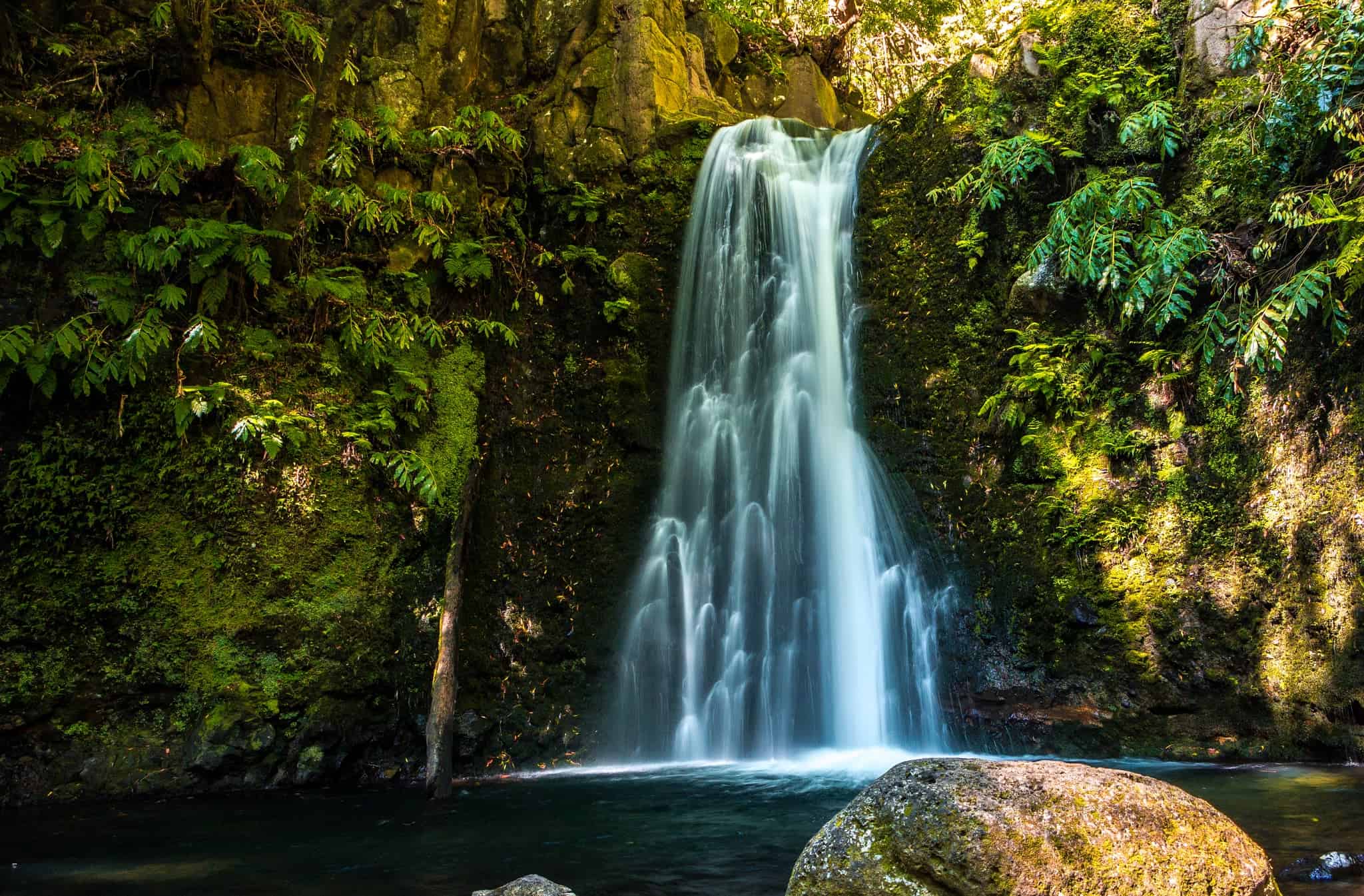 Vodopád Salto do Prego obklopený tropickou zelení v lese, Faial da Terra