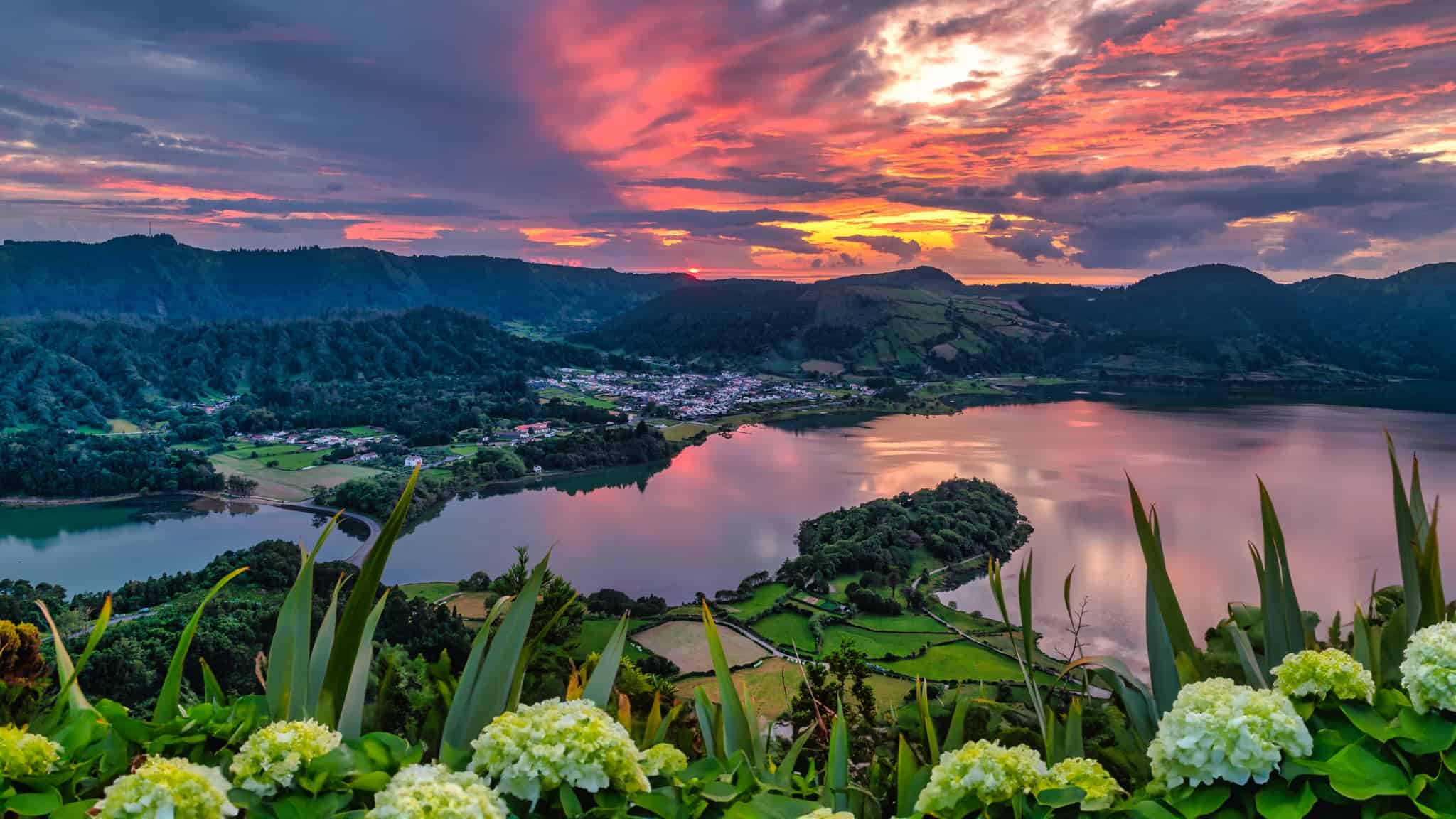 Večerní panorama kráterových jezer Sete Cidades s hortenzií v popředí, Sao Miguel, Azory