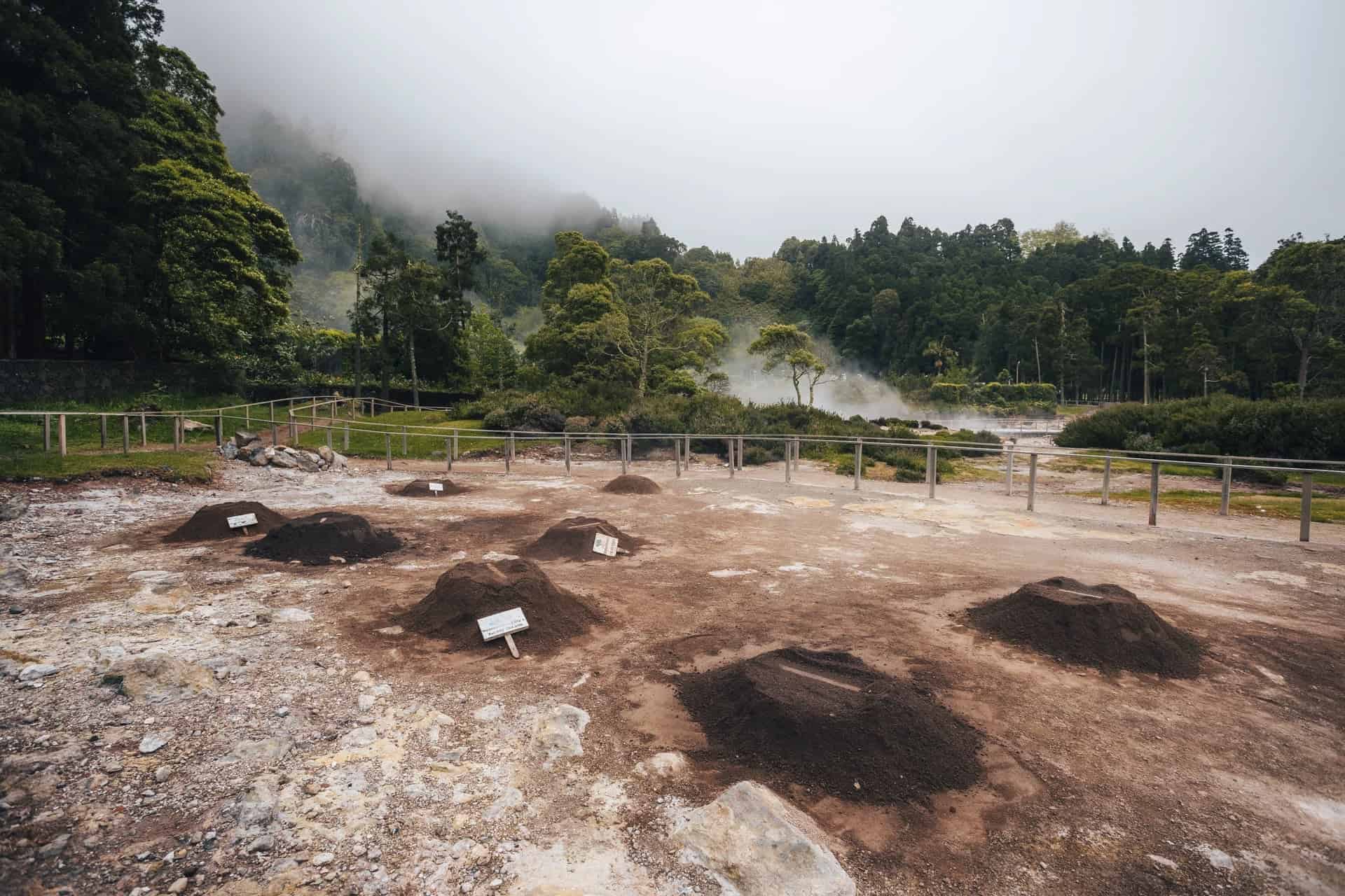 Tradiční dům v Grená Parku a pečení cozida v sopečné půdě, Sao Miguel