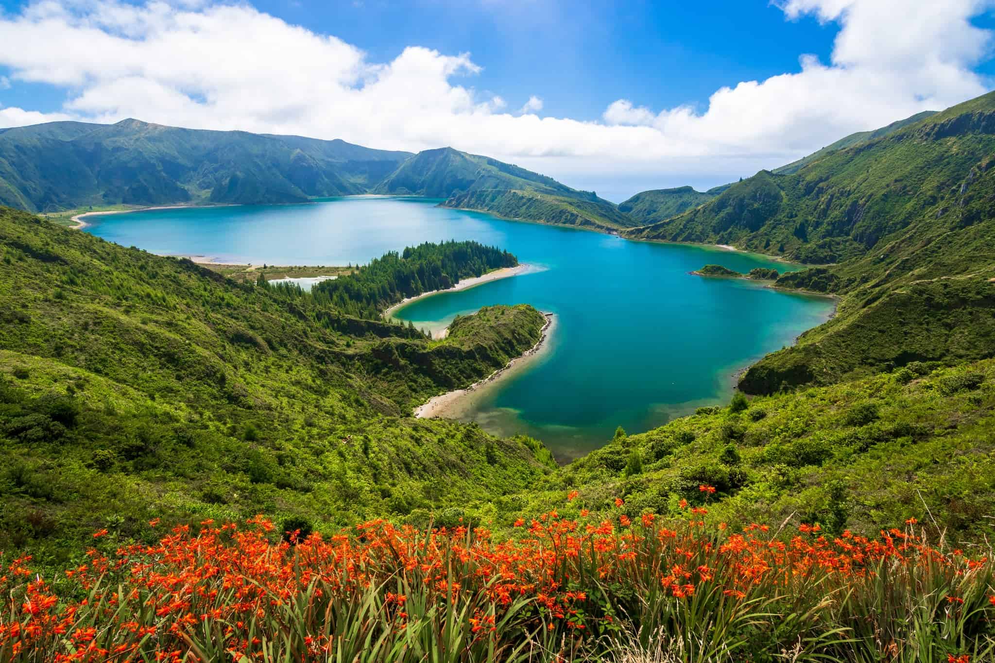 Rozkvetlé květy v popředí s výhledem na tyrkysové jezero Lagoa do Fogo, Sao Miguel