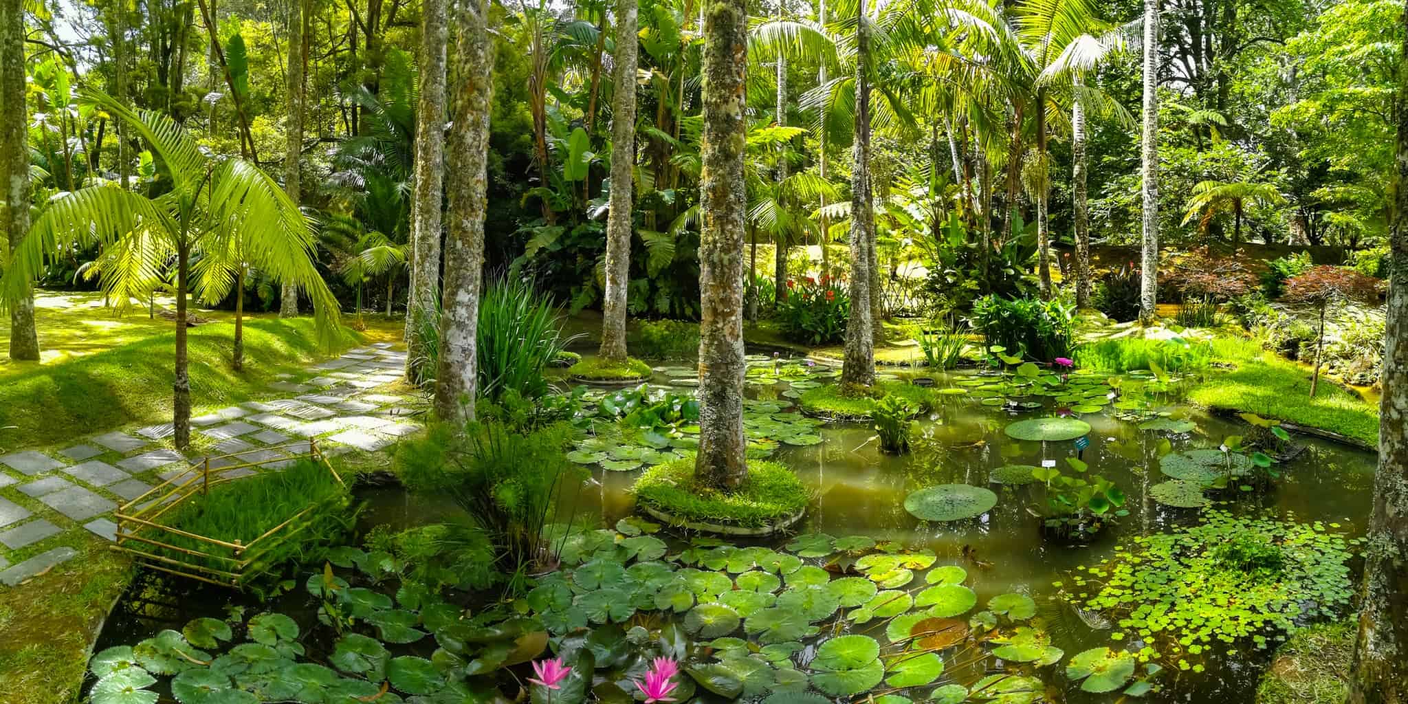 Botanická zahrada Terra Nostra Park s jezírky, stromy a tropickou vegetací, Furnas, Sao Miguel